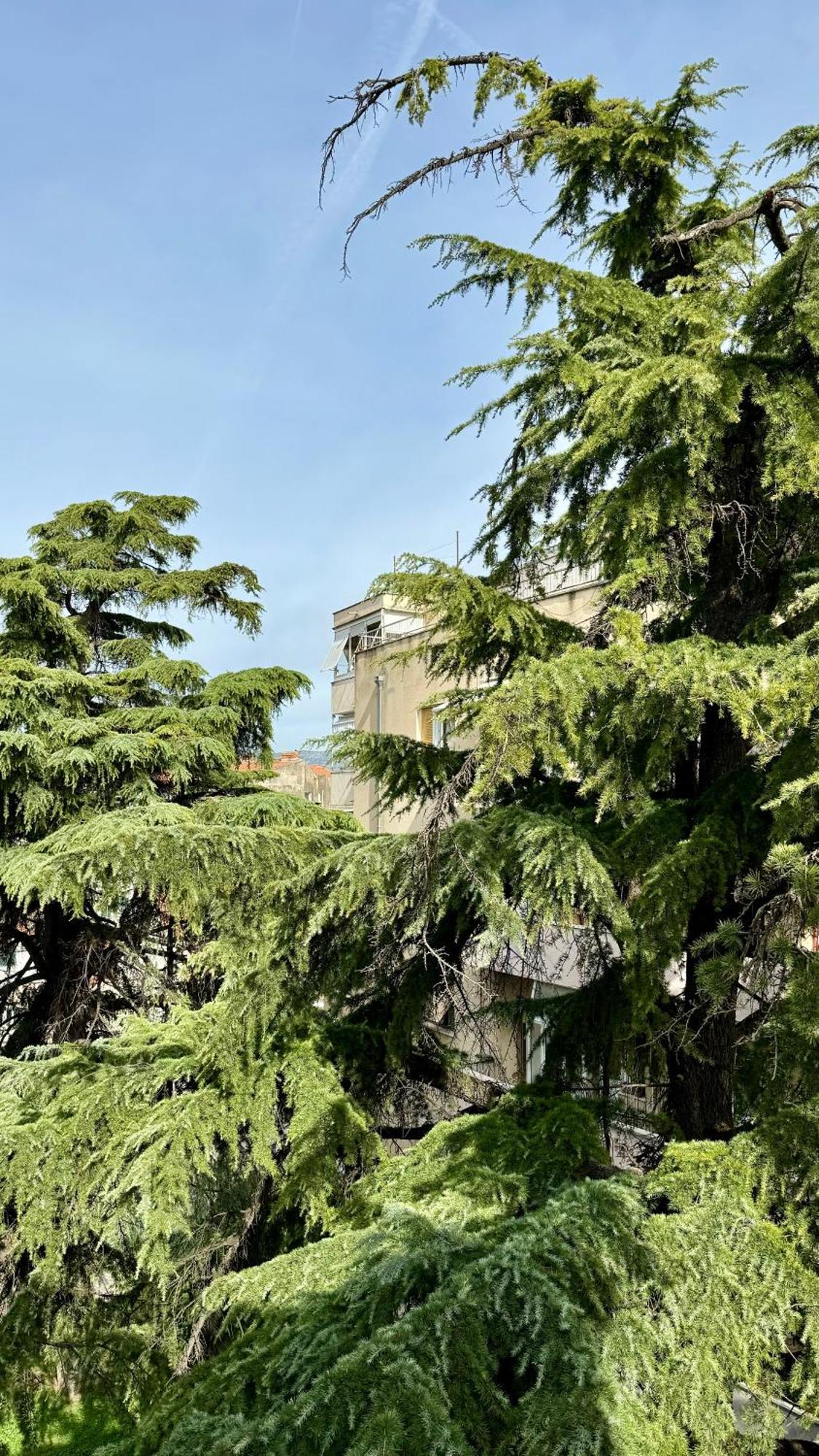Jardin Rooms Split Zewnętrze zdjęcie